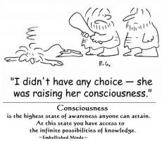 Consciousness quote #2