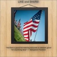Constitution quote #2