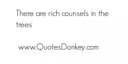 Counsels quote #1