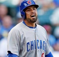 Cubs quote #1
