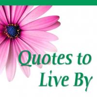 Daily Lives quote #2