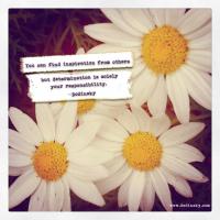 Daisy quote #2