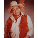 Dan Blocker's quote #1