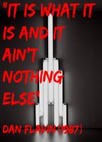 Dan Flavin's quote #2