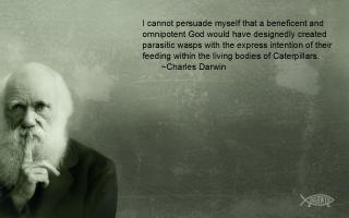 Darwin quote