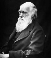 Darwinian quote #1