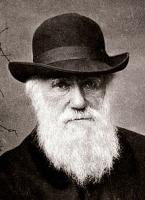 Darwinian quote #1