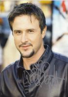 David Arquette profile photo