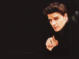 David Boreanaz profile photo