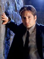 David Duchovny's quote