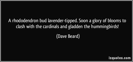 David Lavender's quote #1