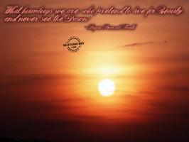 Dawn quote #6