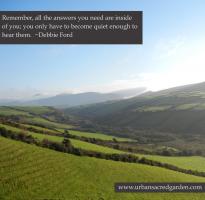 Debbie Ford's quote #3