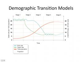 Demographic quote #2