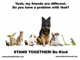 Different Kind quote #2