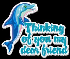 Dolphin quote #1