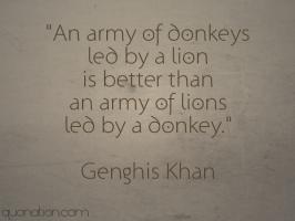 Donkey quote #1
