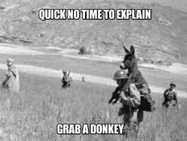Donkeys quote #2