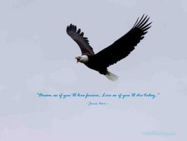 Eagle quote
