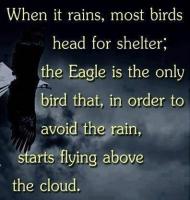 Eagles quote