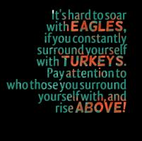 Eagles quote #3