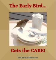 Early Bird quote #2