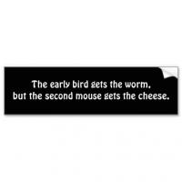 Early Bird quote #2