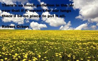 Earth Day quote #2