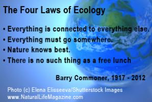 Ecology quote #2