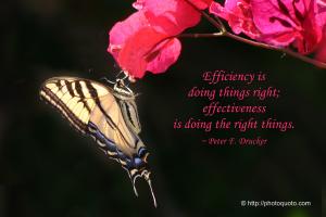 Effectiveness quote #2