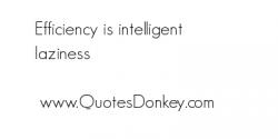 Efficiency quote #4