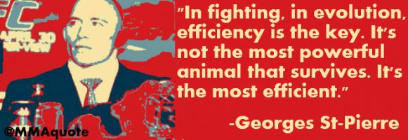 Efficiency quote #4