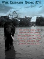 Elephants quote #4