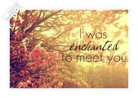 Enchanted quote #2