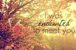 Enchanted quote #2