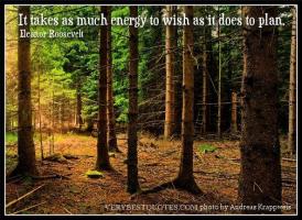 Energy Plan quote #2