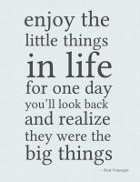 Enjoy Life quote #2