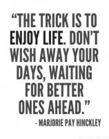 Enjoy Life quote #2