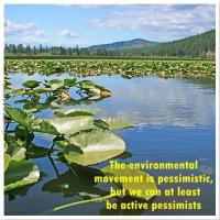 Environmental Movement quote #2