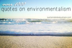 Environmentalism quote #2