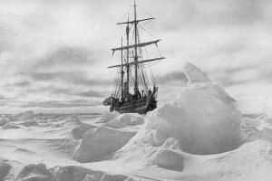 Ernest Shackleton's quote #4