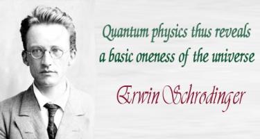 Erwin Schrodinger's quote #5