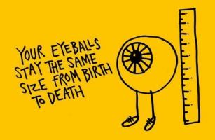 Eyeballs quote #1