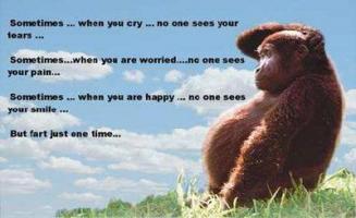 Fart quote #1