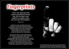 Fingerprints quote #2