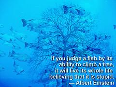 Fishes quote #1