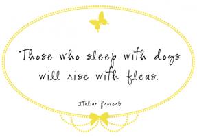 Fleas quote #1