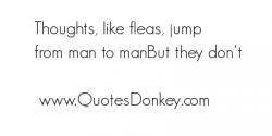 Fleas quote #1