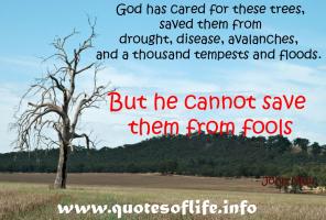 Floods quote #2