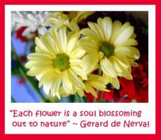 Florist quote #1